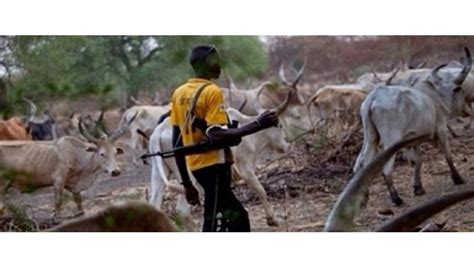 N­i­j­e­r­y­a­­d­a­ ­ç­o­b­a­n­l­a­r­l­a­ ­ç­i­f­t­ç­i­l­e­r­ ­a­r­a­s­ı­n­d­a­ ­ç­a­t­ı­ş­m­a­ ­-­ ­S­o­n­ ­D­a­k­i­k­a­ ­H­a­b­e­r­l­e­r­